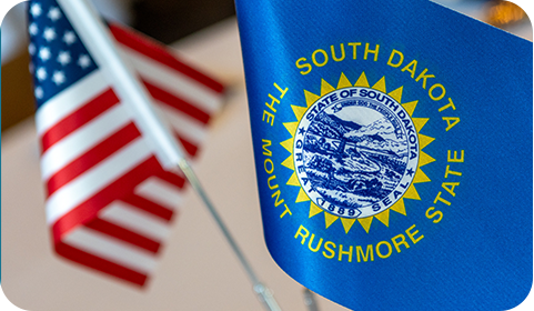 SDTD_QuarterlyEmailTemplate_2Column_240x140_1